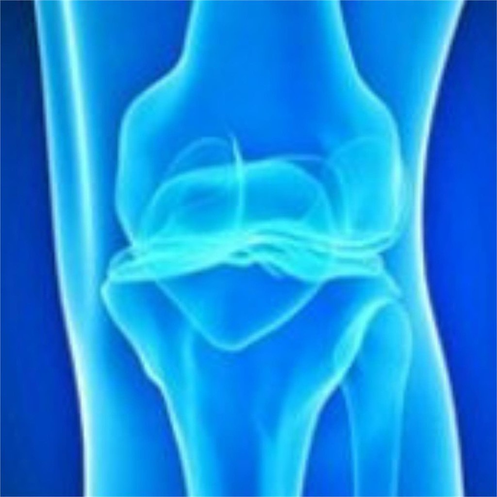 La fisioterapia ofrece buenos resultados en casos de desgarrado meniscal no grave